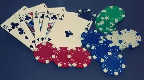peacock777 peacock777